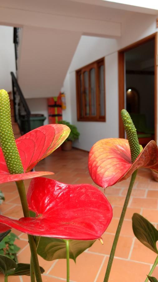 Apartahotel La Gran Familia Villa de Leyva Ngoại thất bức ảnh